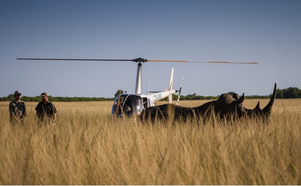 Helicopter flip with Phinda for Rhino Conservation with Planet Africa Safaris | Phinda Game Reserve | Bespoke safari itineraries and tour operator