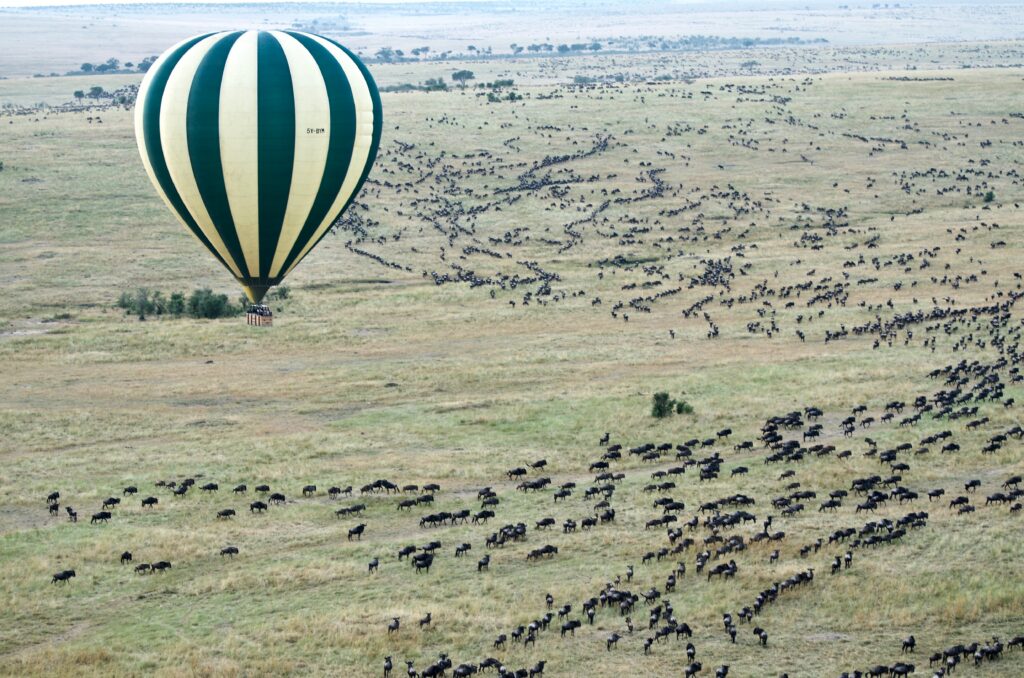 Hot air balloon safari over The Great Migration in East Africa with Planet Africa Safaris | Jason Hafso (Unsplash) | Bespoke Safari Itineraries Tour Operator