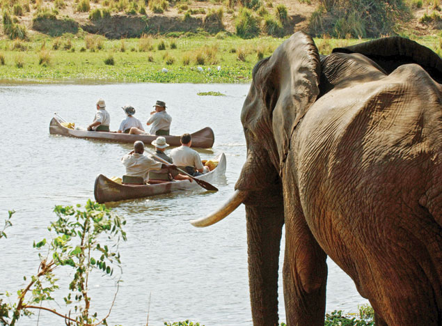 Image of an elephant overlooking the Chongwe River in Zambia, with guests visible in canoes floating on the river | Planet Africa | Blog | Chongwe River, Zambia