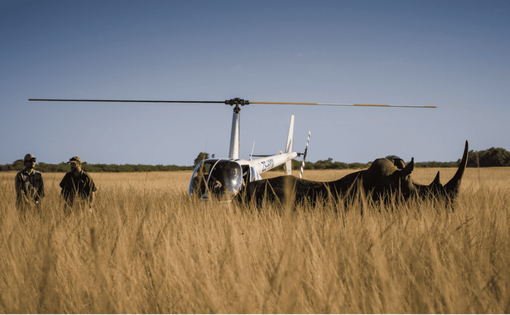 Helicopter flip with Phinda for Rhino Conservation with Planet Africa Safaris | Phinda Game Reserve | Bespoke safari itineraries and tour operator