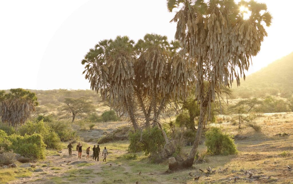 Image showing rhino tracking and walking safari during a tailor-made safari with Planet Africa Safaris | Blog