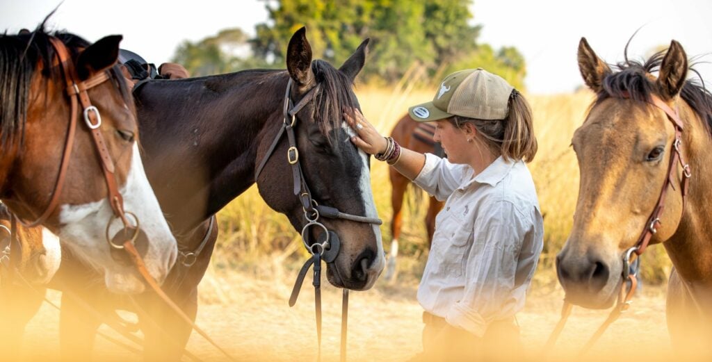Image showing guest interacting with horses at Zambian Horseback Safaris in Simalaha Wildlife Conservancy as arranged by Planet Africa Safaris | tailor-made safari itineraries in Africa | Blog