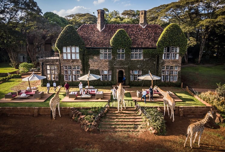 Image of Rothschild's giraffes ambling around guests at the historic Giraffe Manor in Nairobi, Kenya | Planet Africa/TrueAfrica Safaris | Blog | The Safari Collection