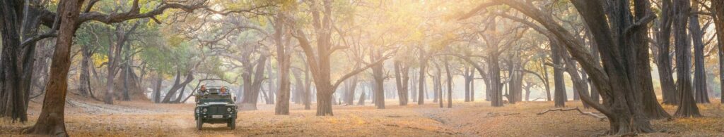 Time Tide Safari Drive South Luangwa | Planet Africa Safaris for luxury African Safari travel | January Blog 2022