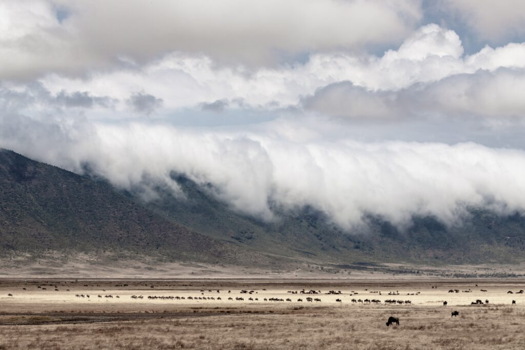 Image showing Ngorongoro Crater on safari next to Tanzania's Serengeti | Planet Africa Safaris | Blog | Mariola Grobelska